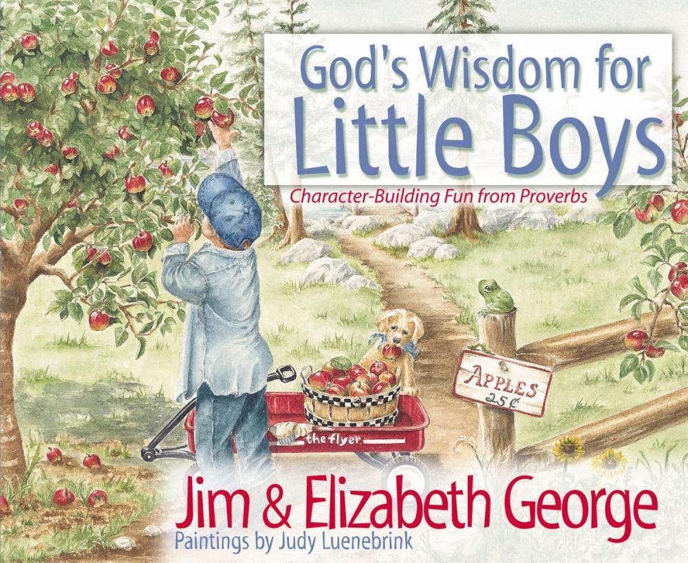Big bigCover of God's Wisdom for Little Boys