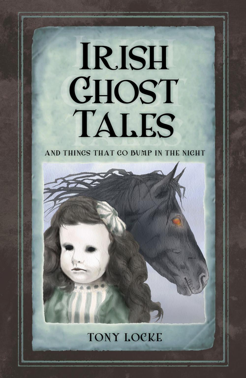 Big bigCover of Irish Ghost Tales