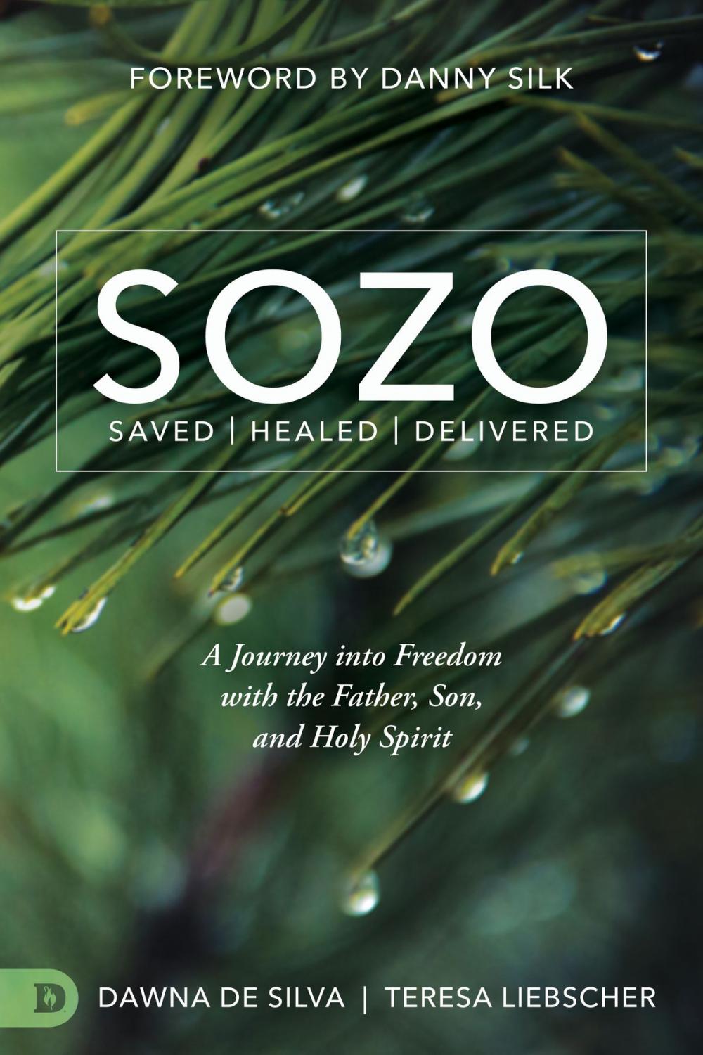 Big bigCover of SOZO Saved Healed Delivered