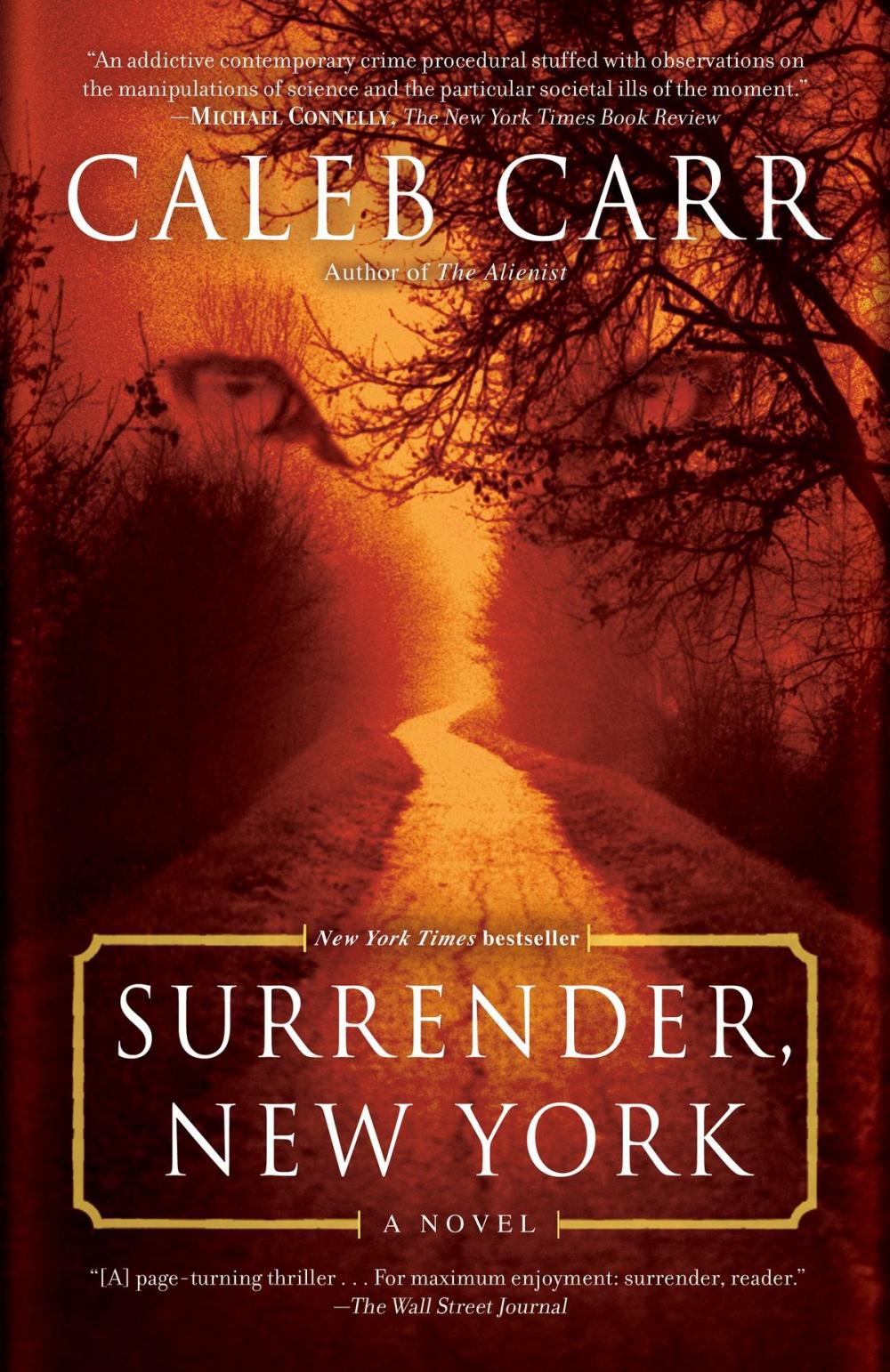 Big bigCover of Surrender, New York