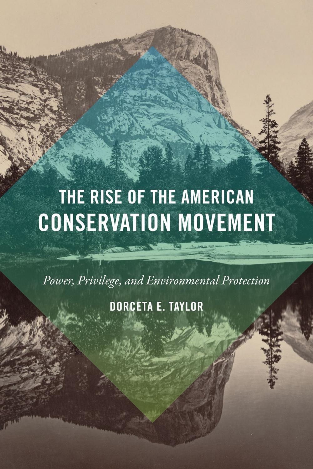 Big bigCover of The Rise of the American Conservation Movement