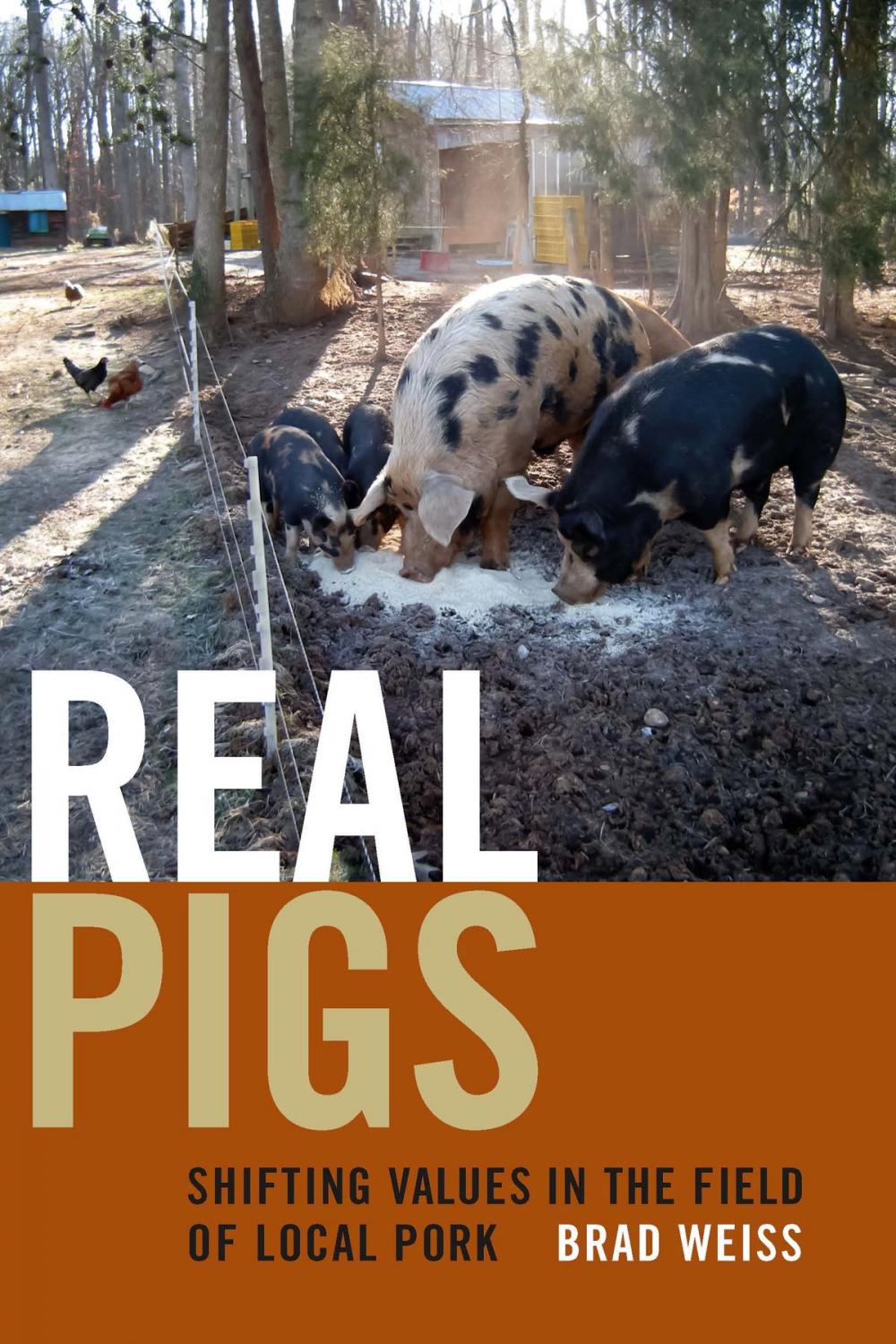 Big bigCover of Real Pigs