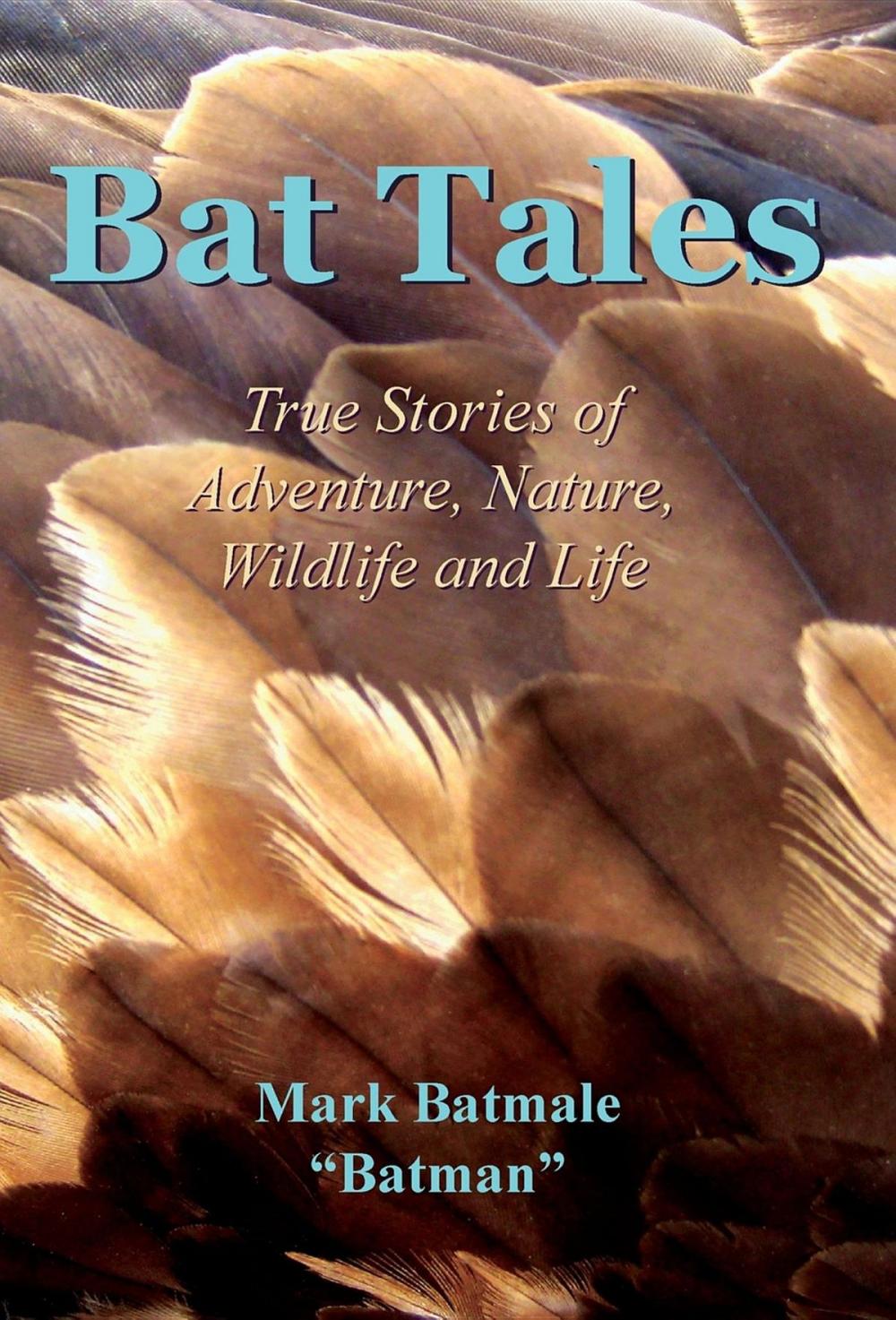 Big bigCover of Bat Tales