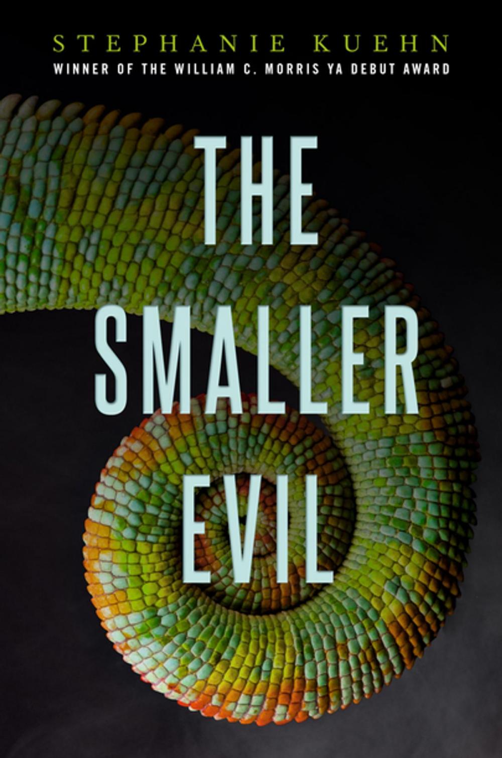 Big bigCover of The Smaller Evil