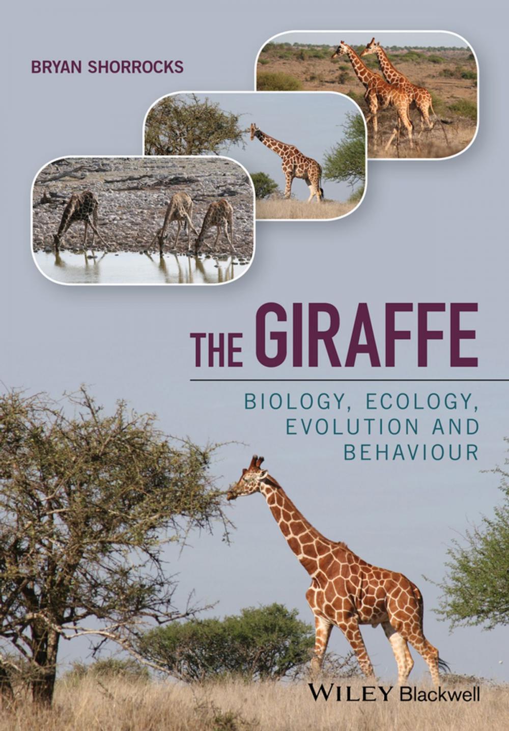 Big bigCover of The Giraffe