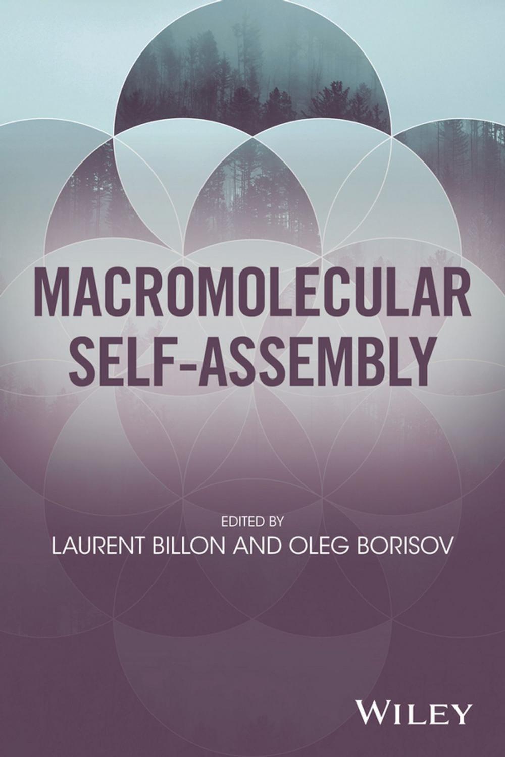 Big bigCover of Macromolecular Self-Assembly