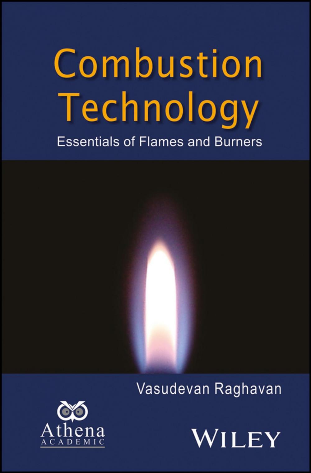 Big bigCover of Combustion Technology