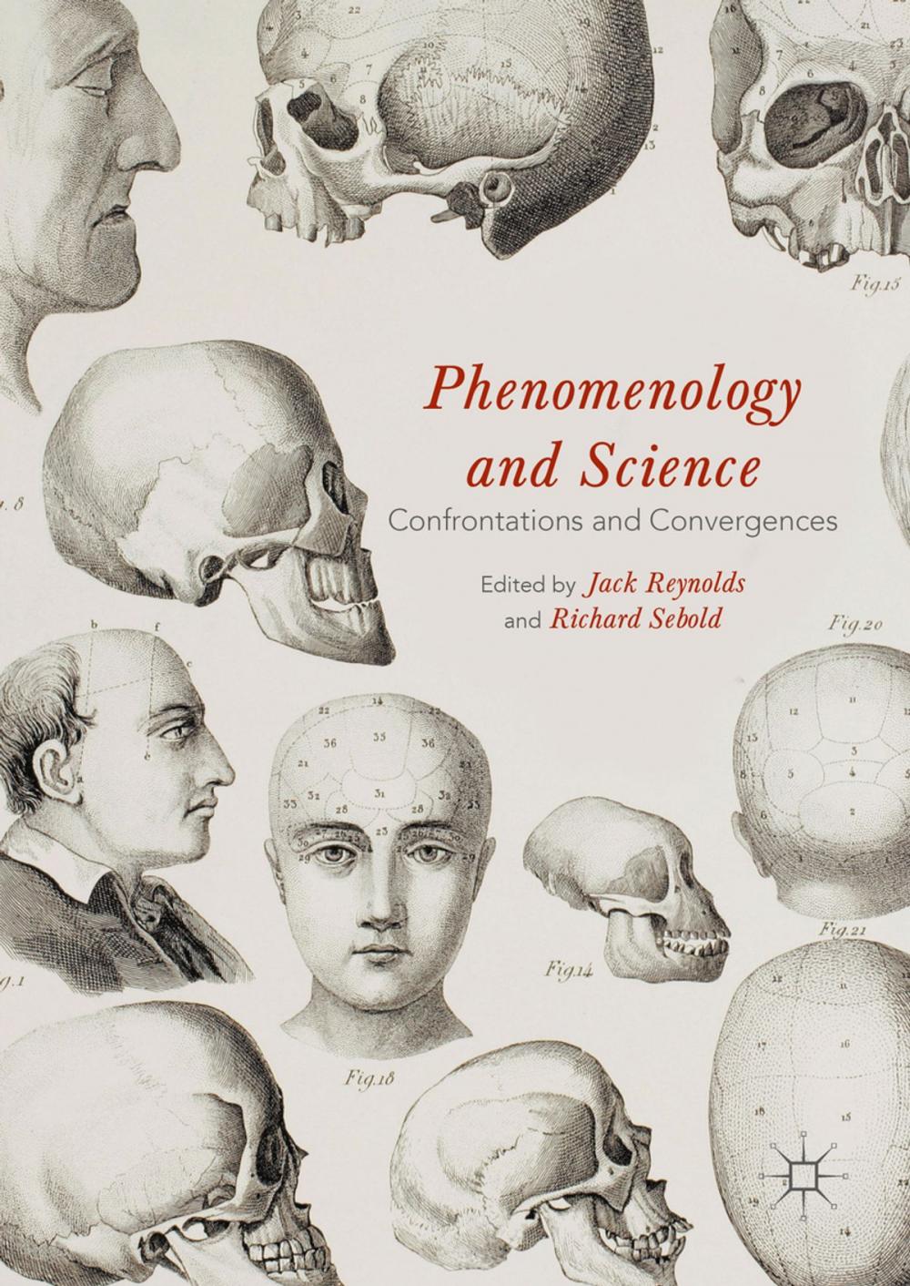 Big bigCover of Phenomenology and Science