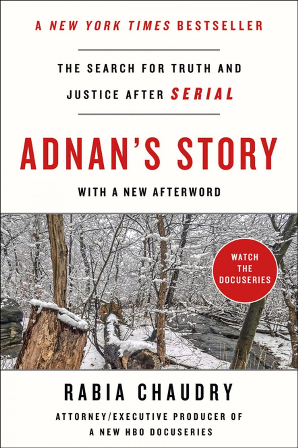 Big bigCover of Adnan's Story