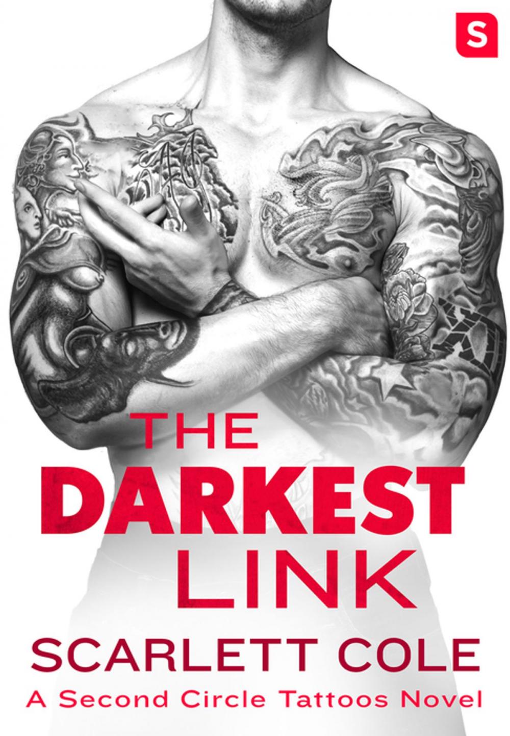 Big bigCover of The Darkest Link