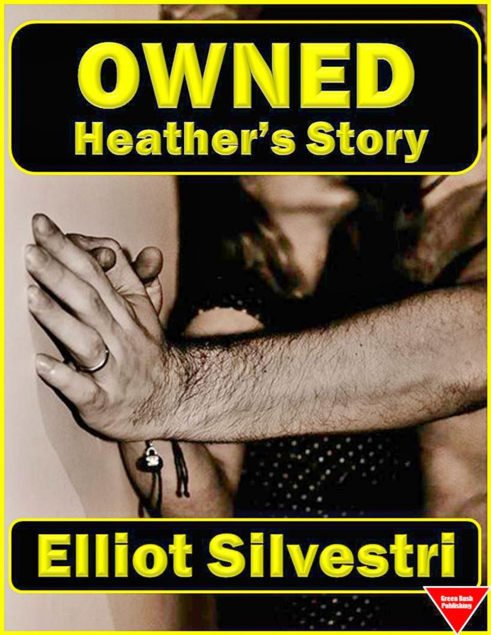 Big bigCover of Owned: Heather's Story