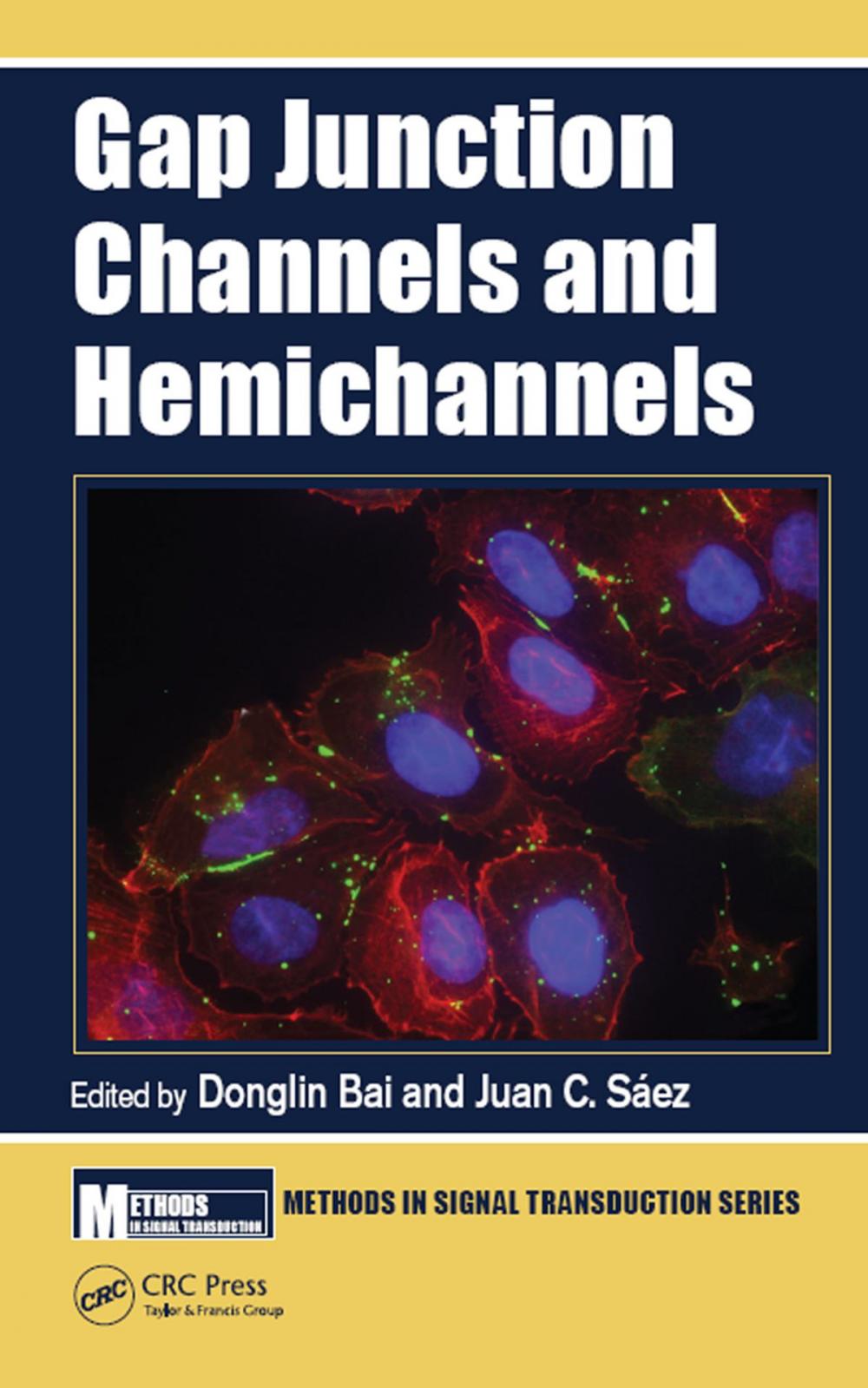 Big bigCover of Gap Junction Channels and Hemichannels