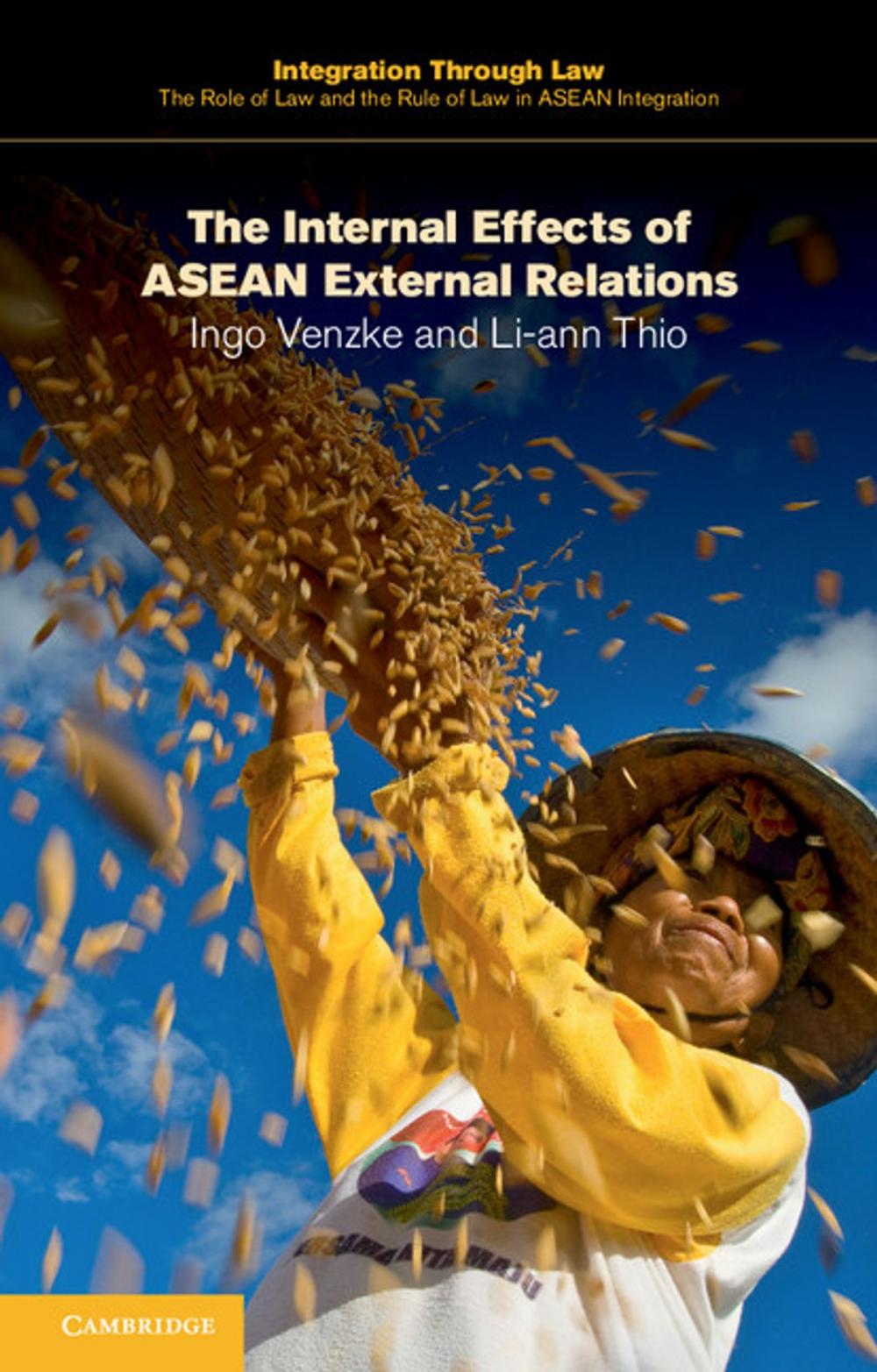 Big bigCover of The Internal Effects of ASEAN External Relations