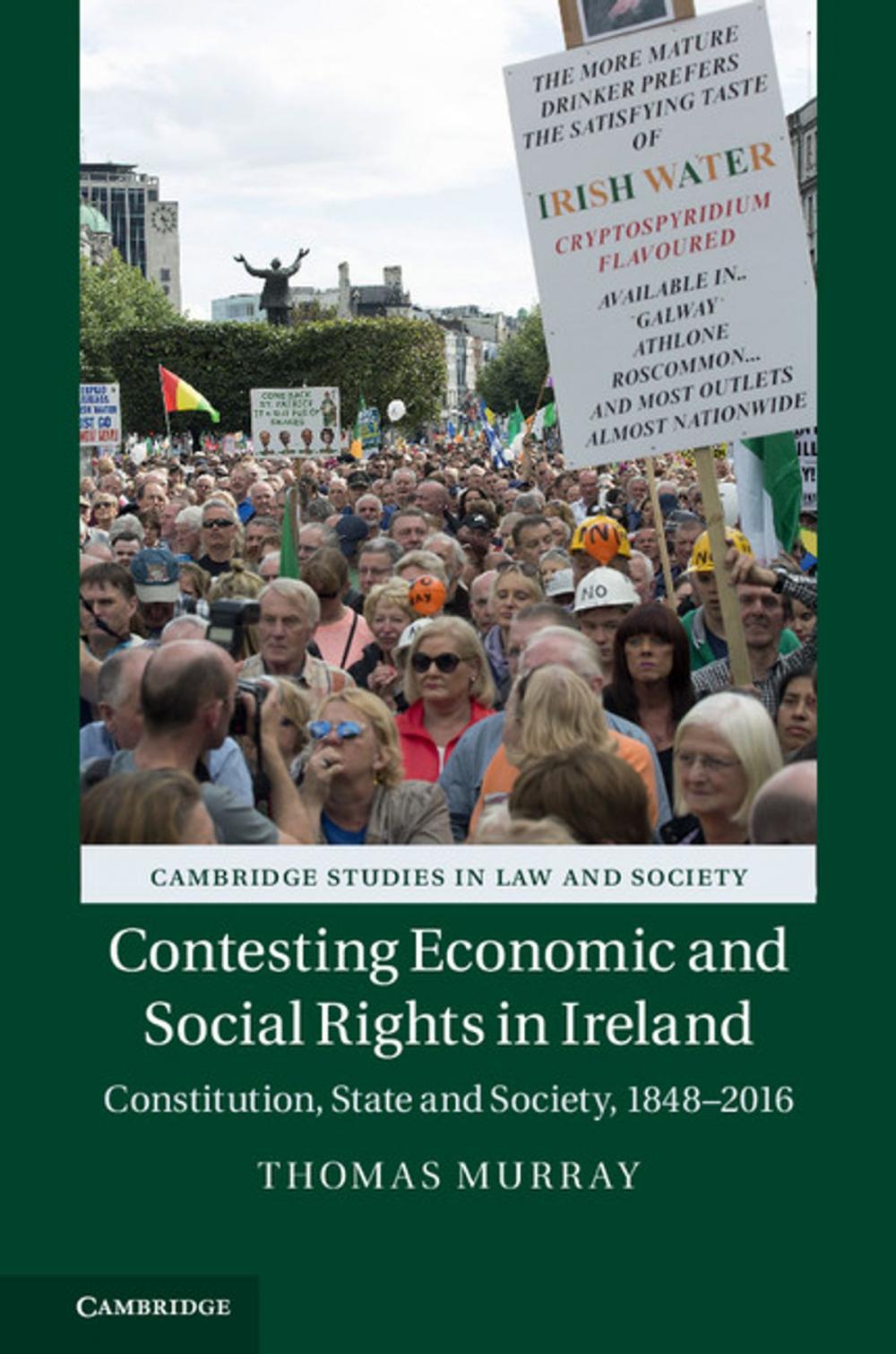 Big bigCover of Contesting Economic and Social Rights in Ireland