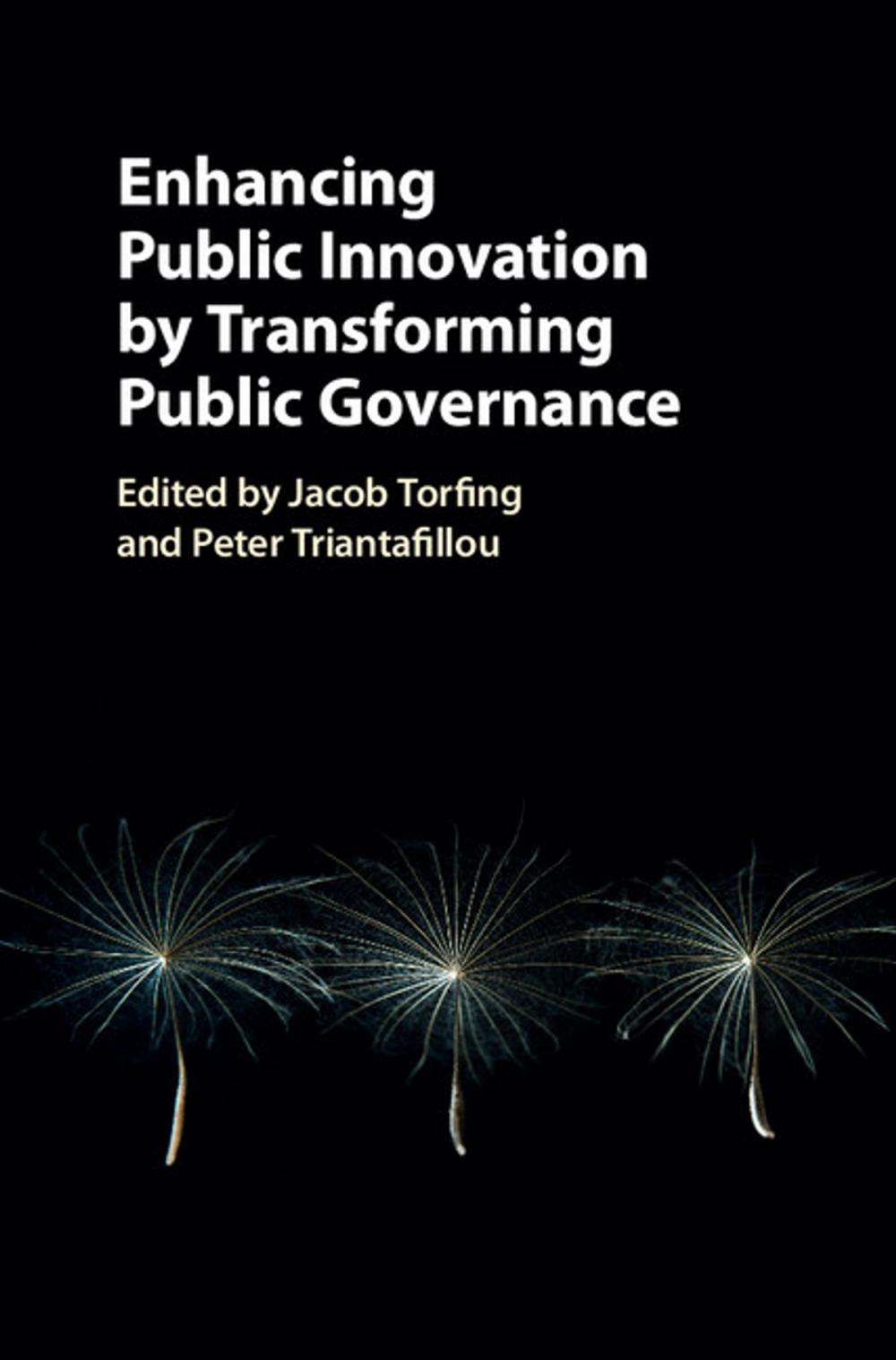 Big bigCover of Enhancing Public Innovation by Transforming Public Governance