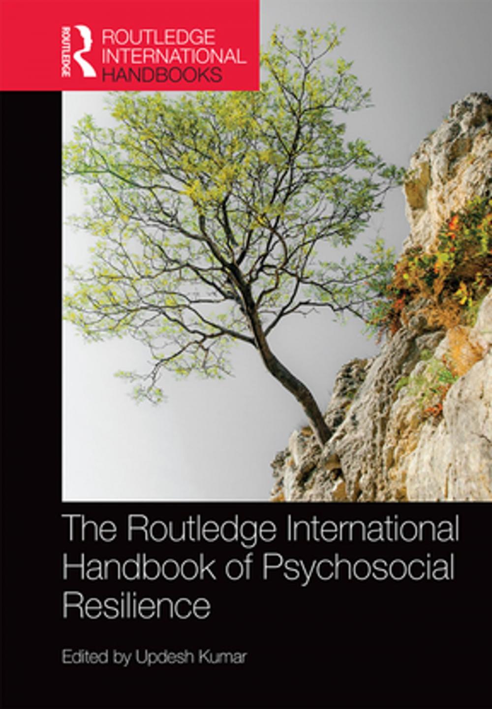 Big bigCover of The Routledge International Handbook of Psychosocial Resilience