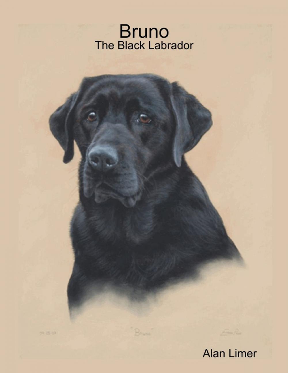 Big bigCover of Bruno - The Black Labrador