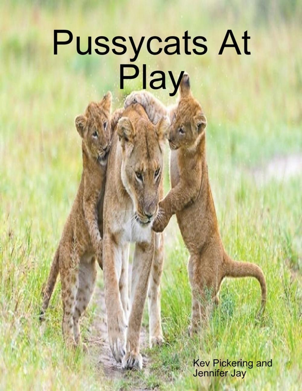 Big bigCover of Pussycats At Play