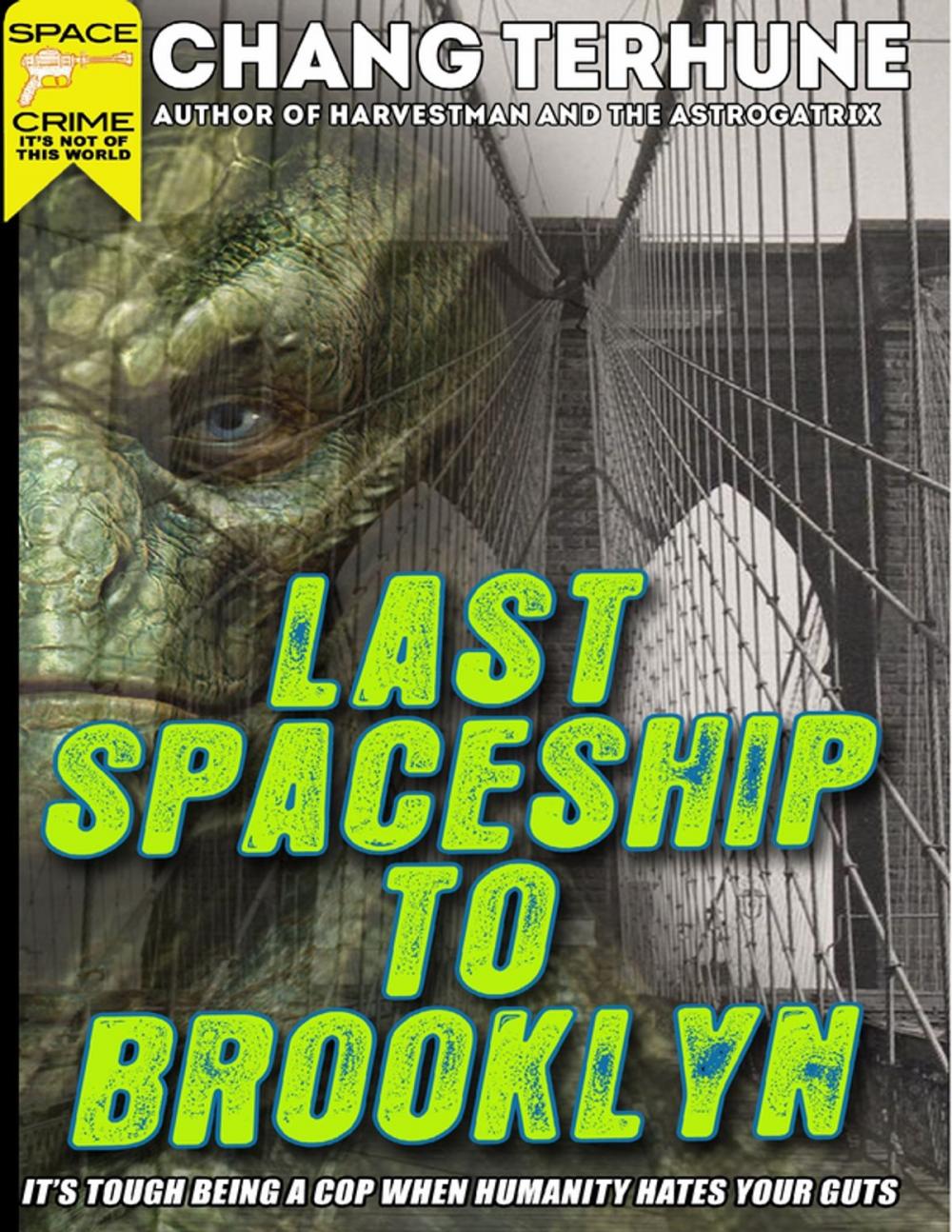 Big bigCover of Last Spaceship to Brooklyn