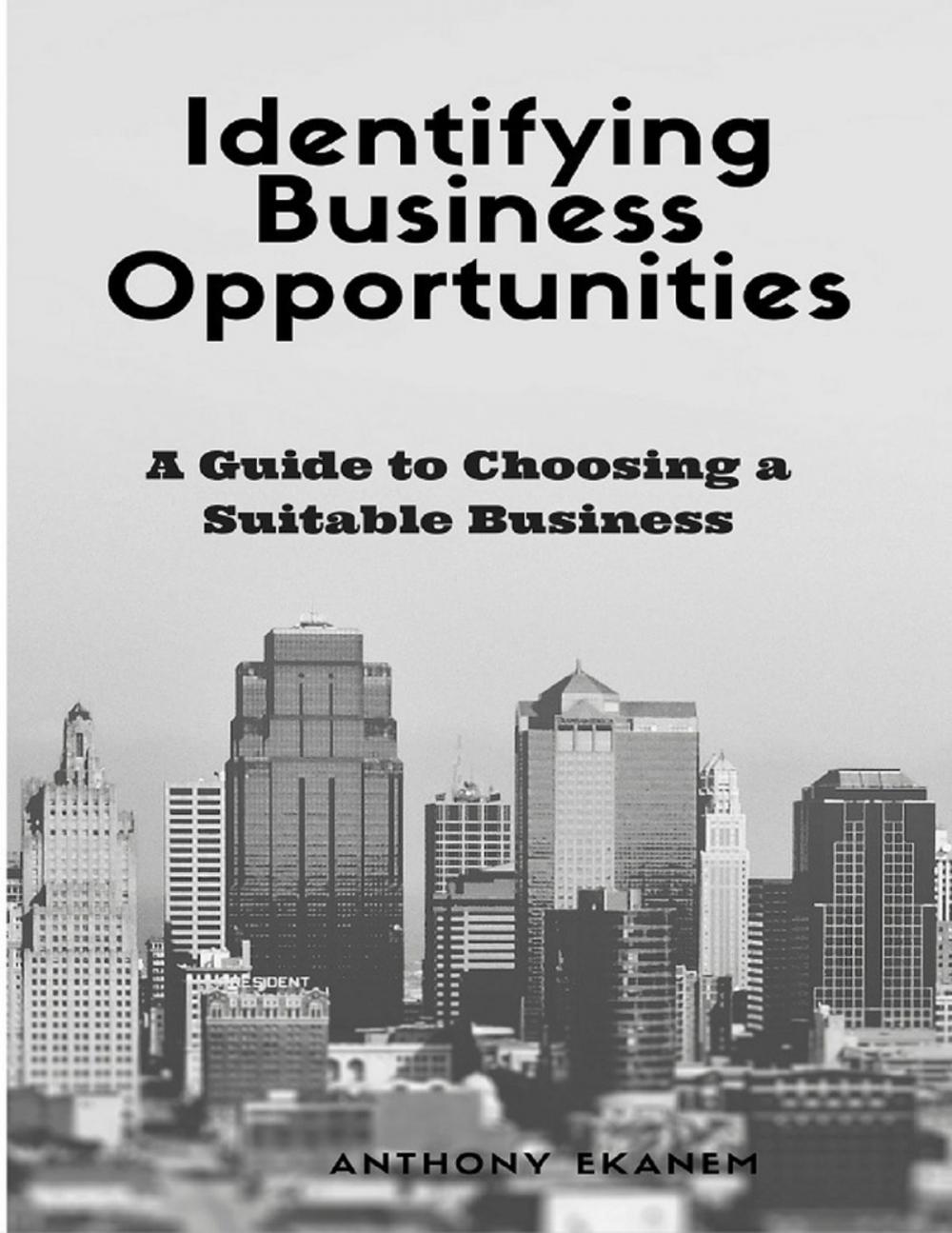 Big bigCover of Identifying Business Opportunities: A Guide to Choosing a Suitable Business