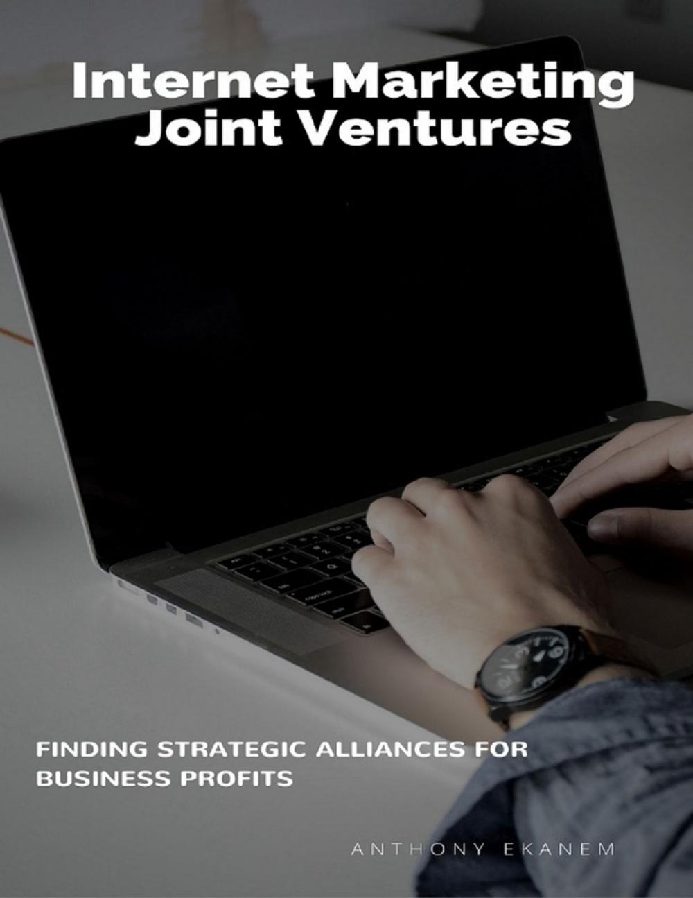 Big bigCover of Internet Marketing Joint Ventures: Finding Strategic Alliances for Business Profits