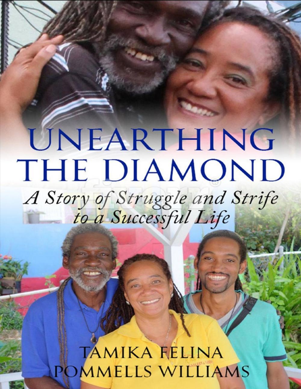 Big bigCover of Unearthing the Diamond: A story of struggle and strife to a successful Life