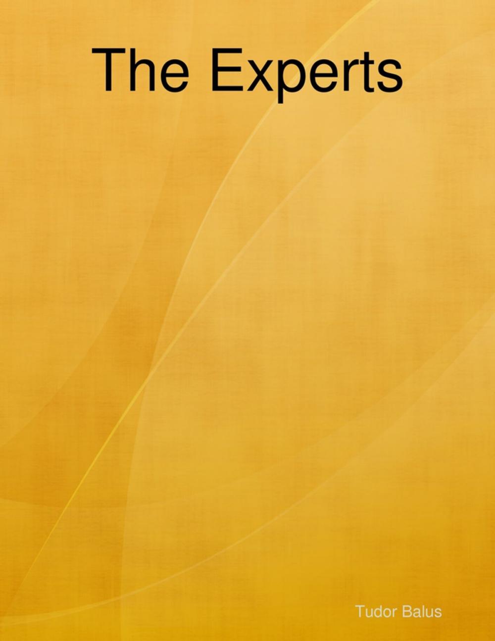 Big bigCover of The Experts