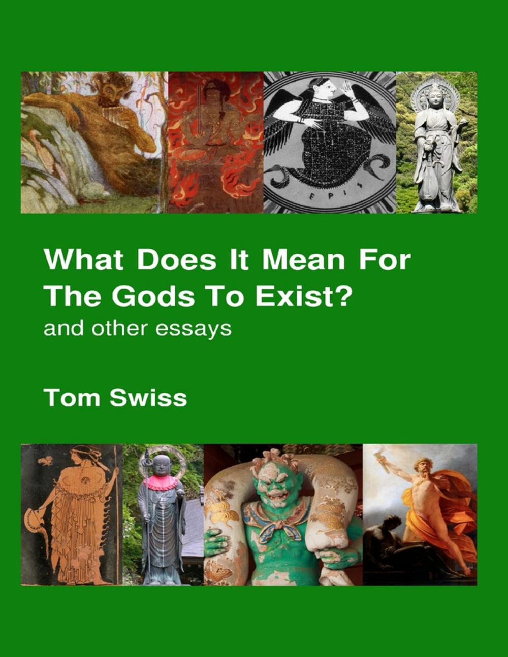 Big bigCover of What Does It Mean for the Gods to Exist?: And Other Essays