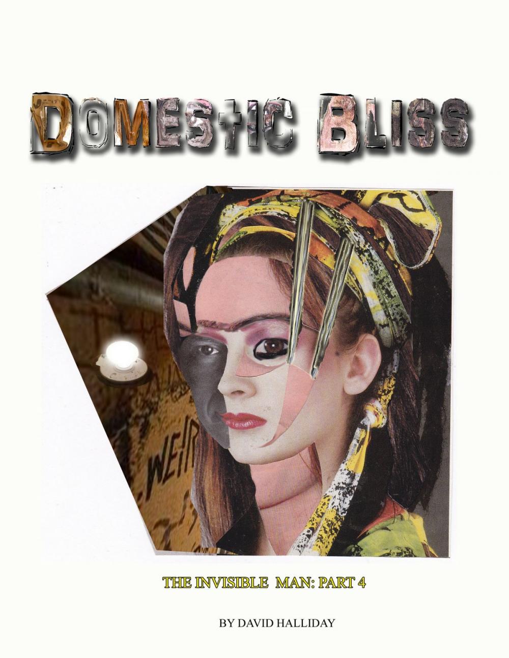 Big bigCover of Domestic Bliss
