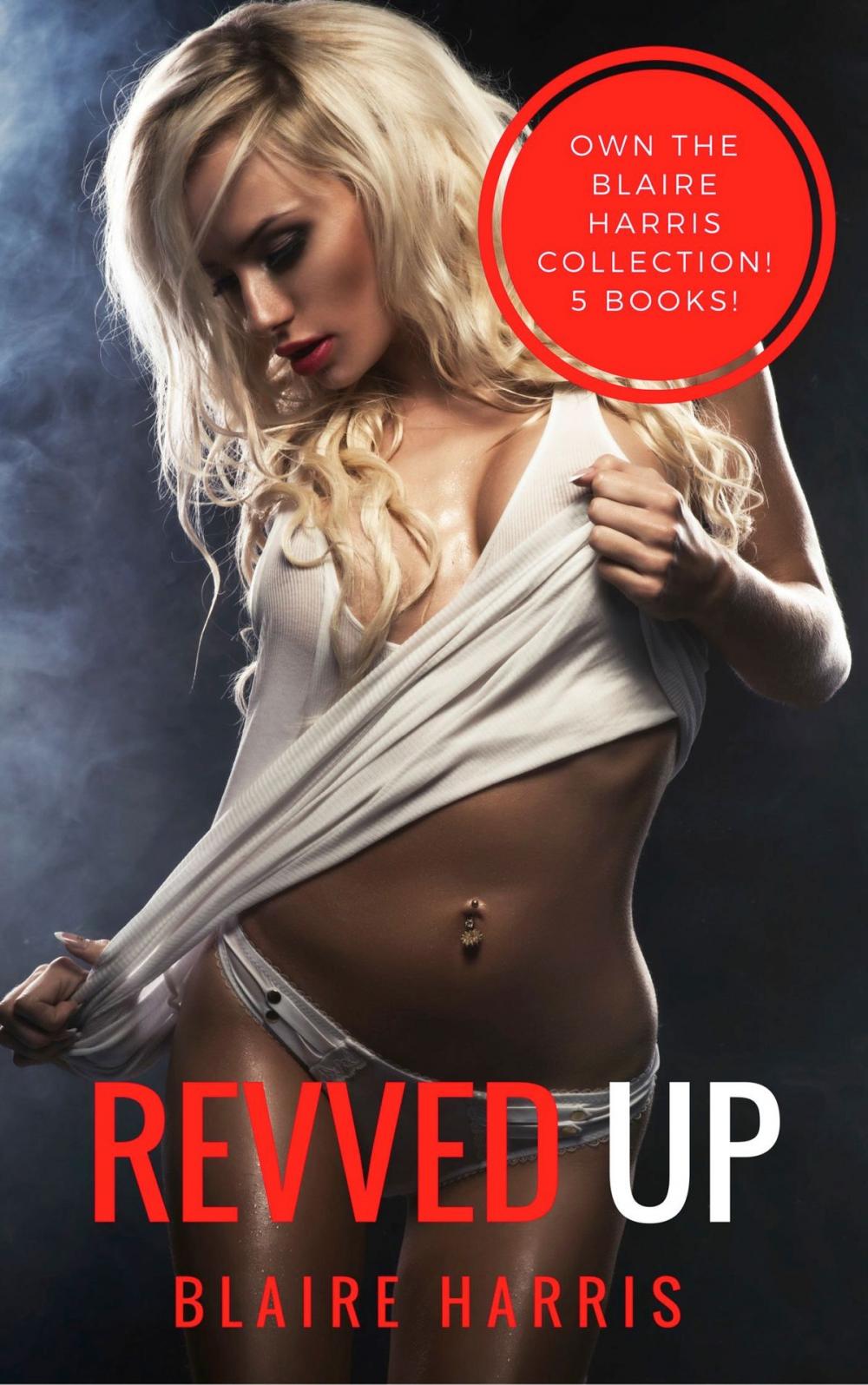 Big bigCover of Revved Up (A Five Book Erotic Collection)