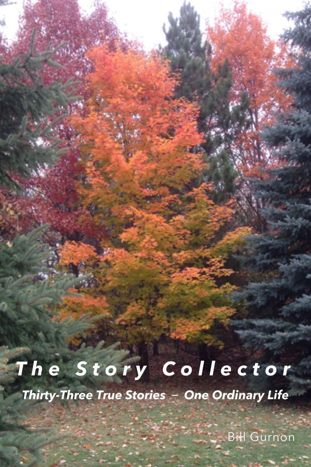 Big bigCover of The Story Collector