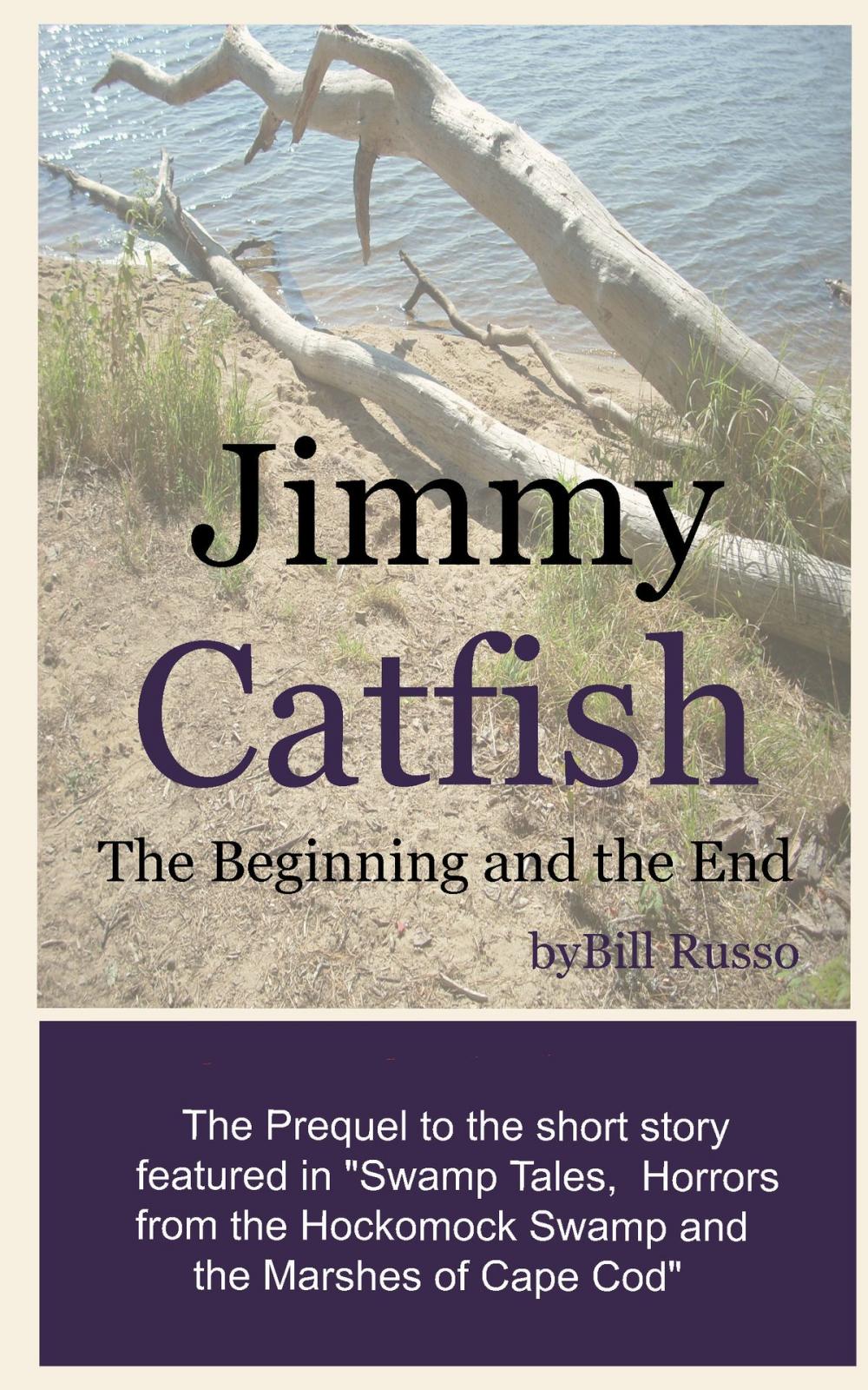 Big bigCover of Jimmy Catfish: The Beginning and The End