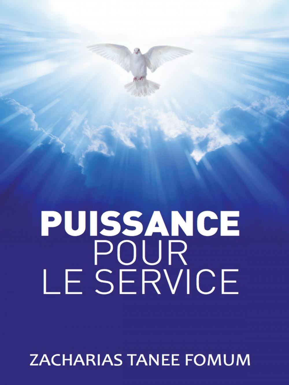 Big bigCover of La Puissance Pour Le Service