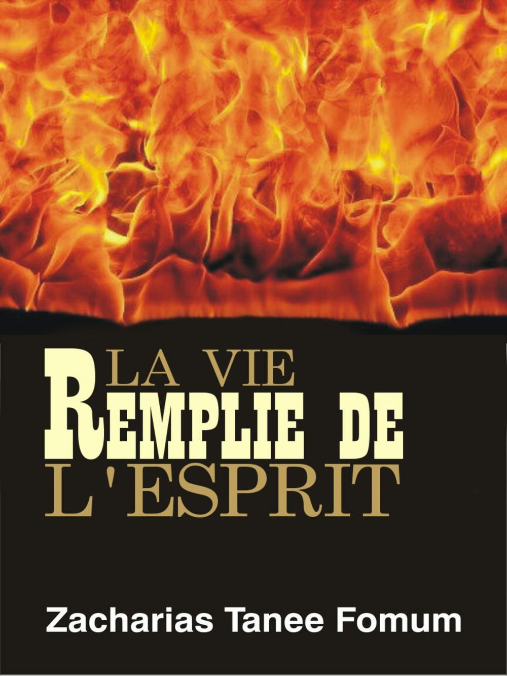 Big bigCover of La Vie Remplie de L’Esprit