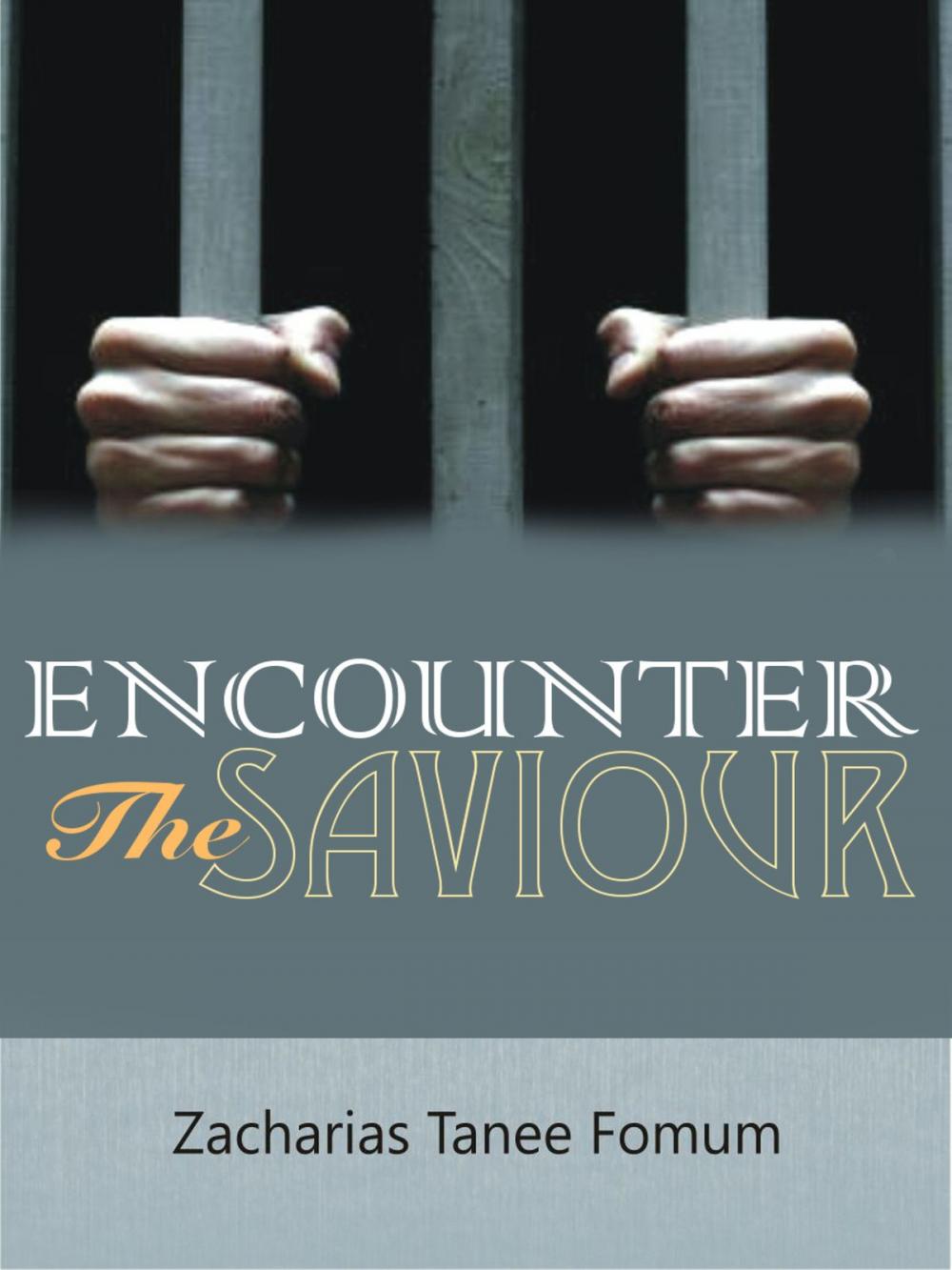 Big bigCover of Encounter The Saviour!