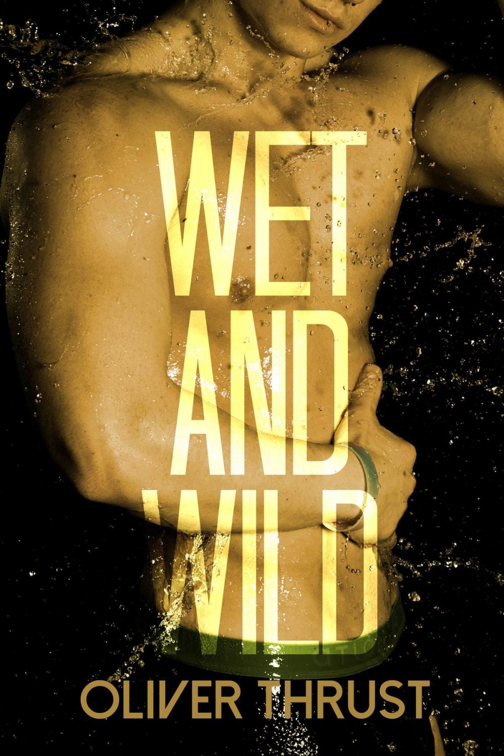 Big bigCover of Wet and Wild