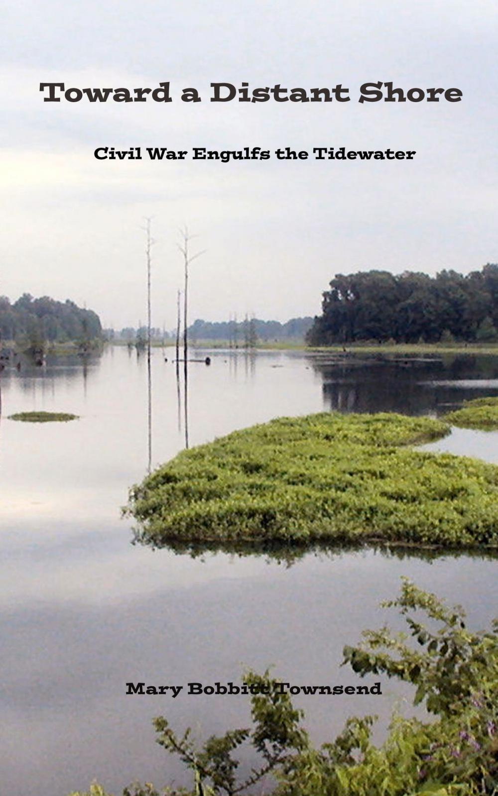 Big bigCover of Toward a Distant Shore: Civil War Engulfs the Tidewater