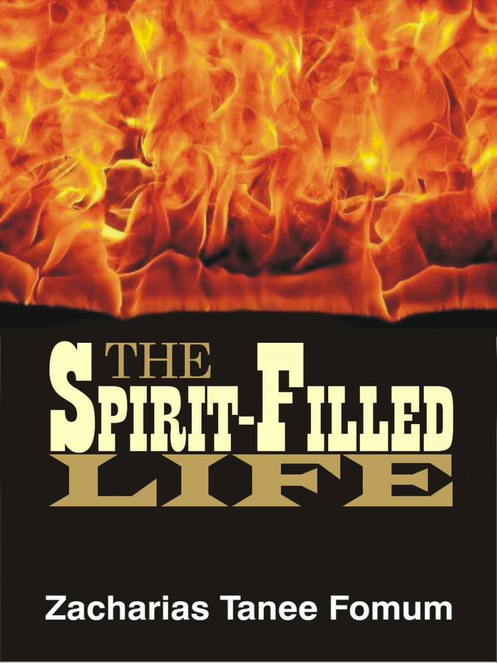 Big bigCover of The Spirit-Filled Life