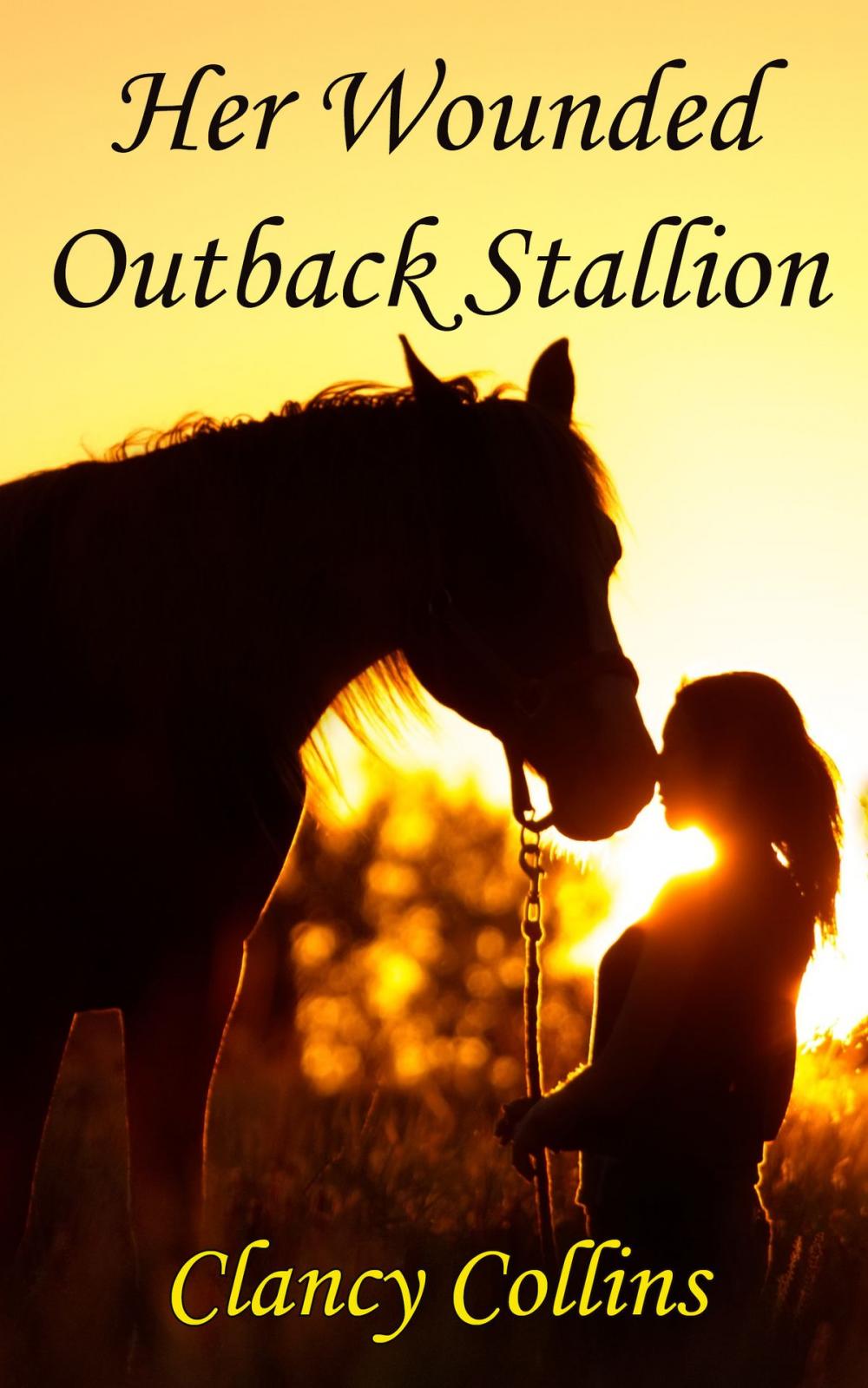 Big bigCover of Her Wounded Outback Stallion