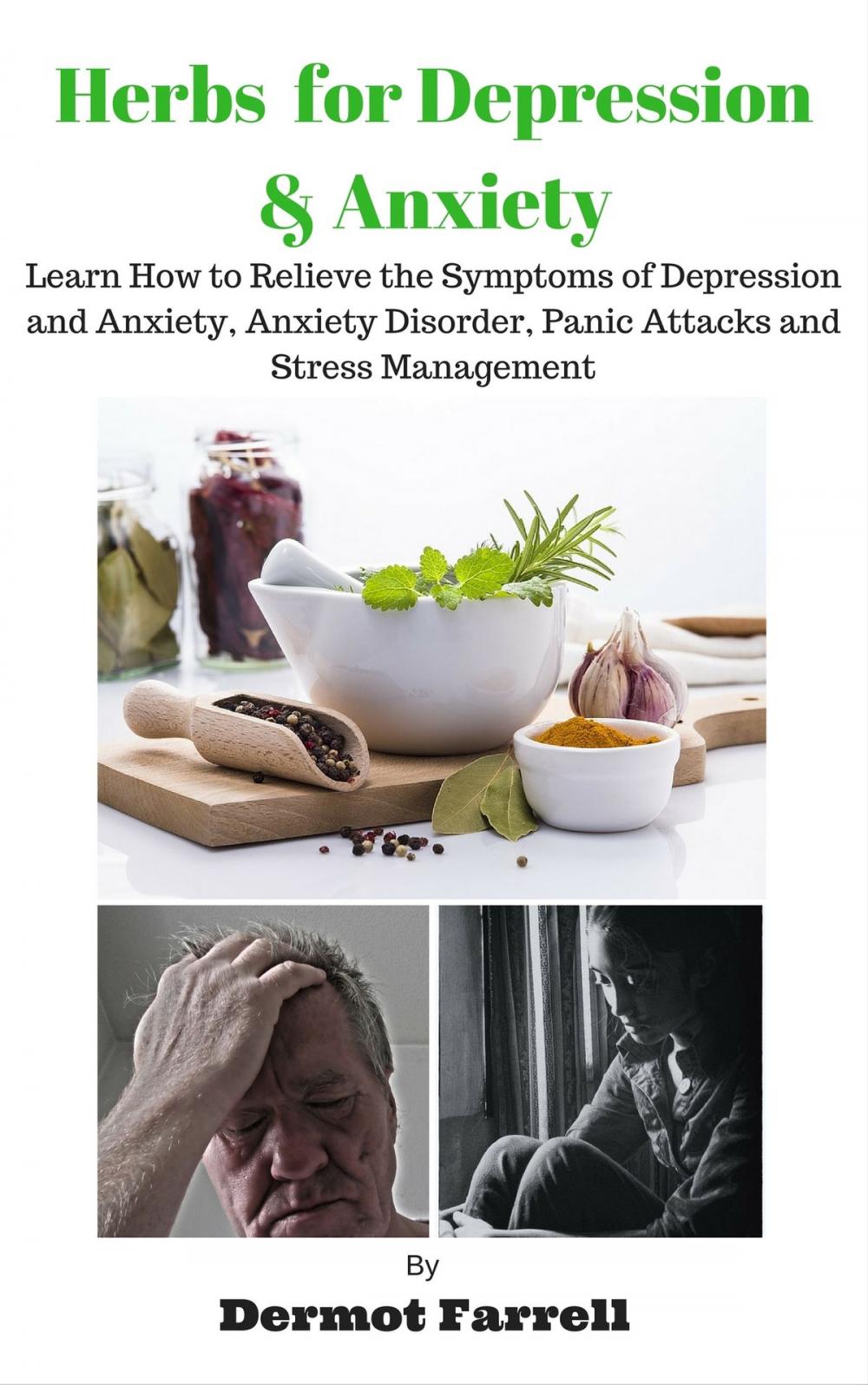 Big bigCover of Herbs for Depression and Anxiety