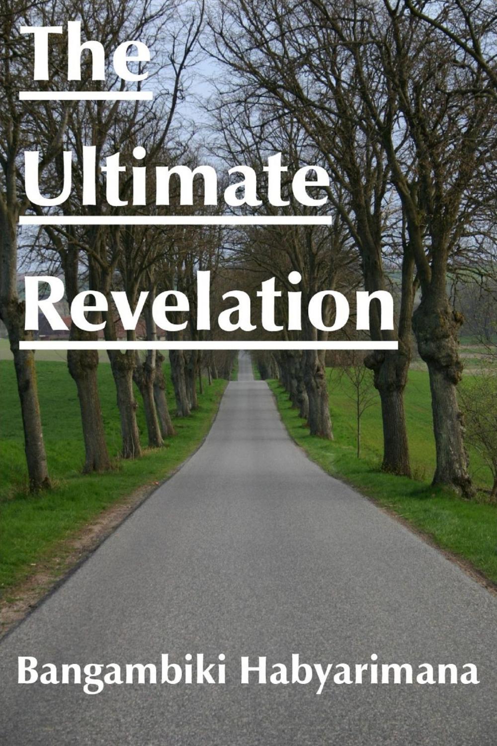 Big bigCover of The Ultimate Revelation