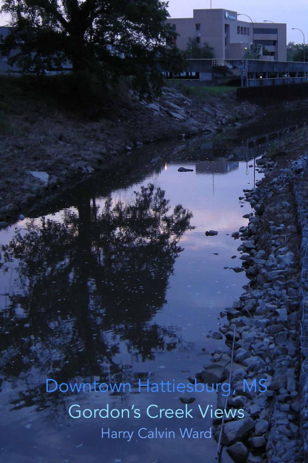 Big bigCover of Downtown Hattiesburg, Gordon's Creek Views: May 2009