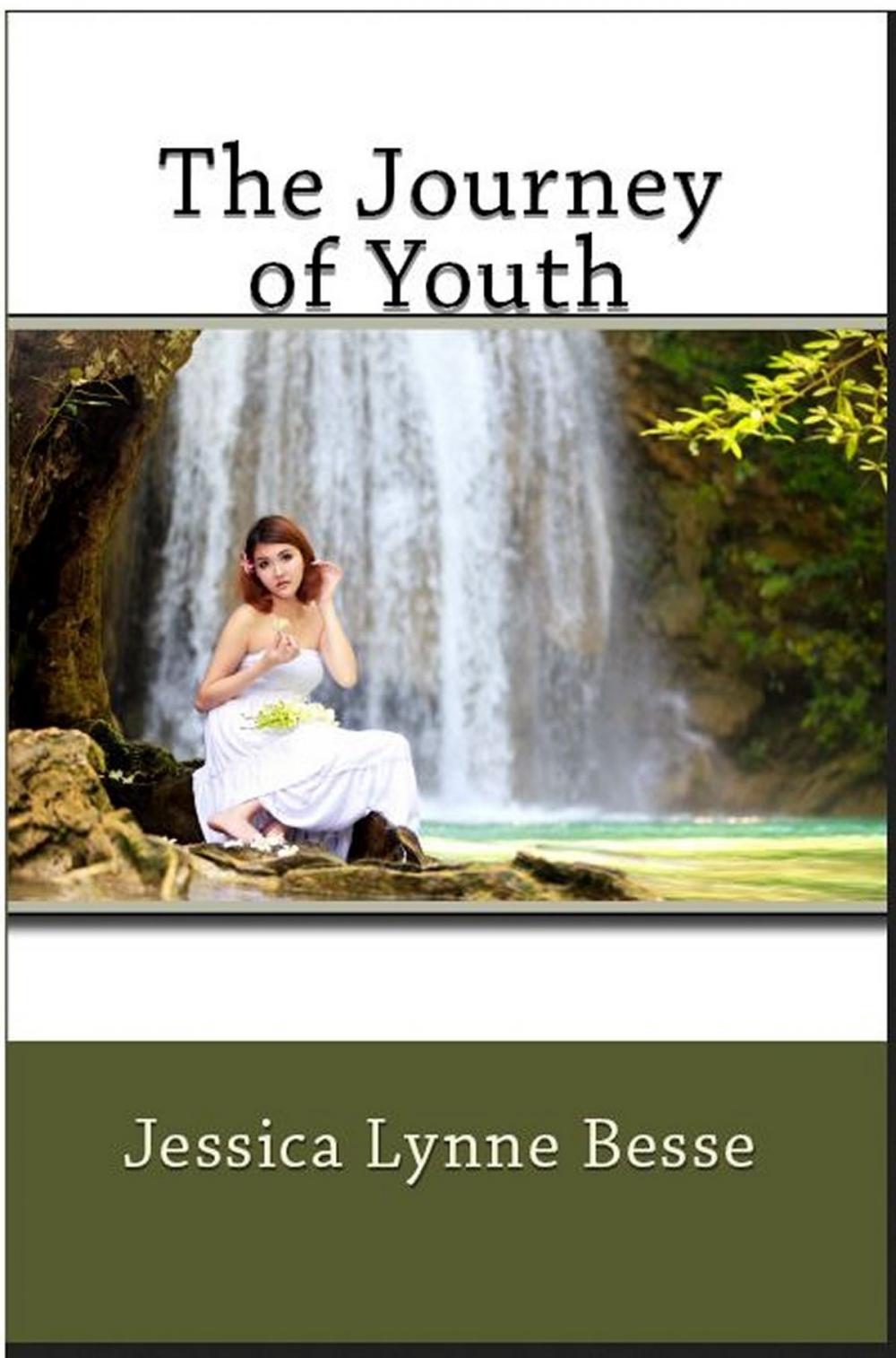 Big bigCover of The Journey of Youth