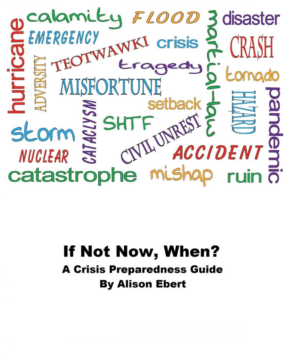 Big bigCover of If Not Now, When? A Crisis Preparedness Guide