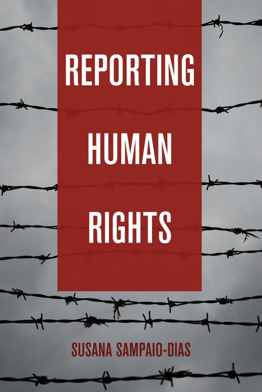 Big bigCover of Reporting Human Rights