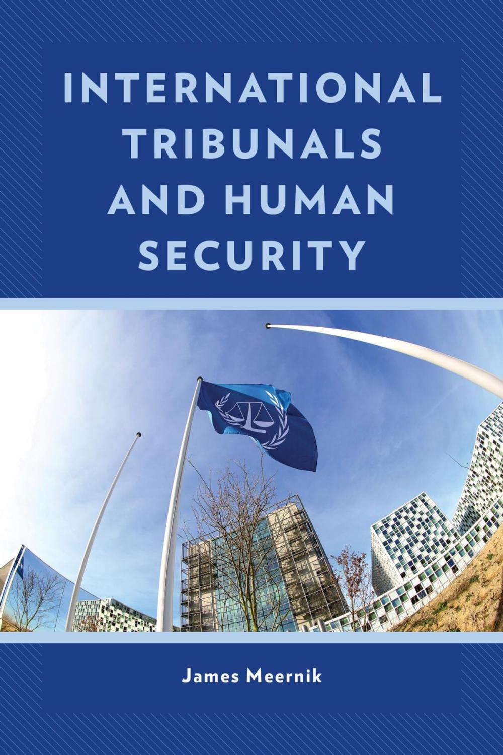 Big bigCover of International Tribunals and Human Security