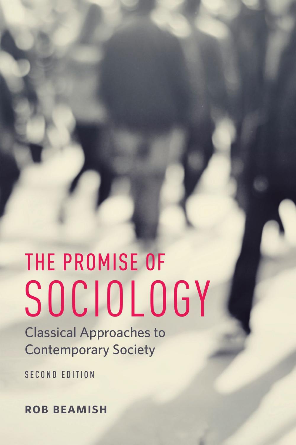 Big bigCover of The Promise of Sociology