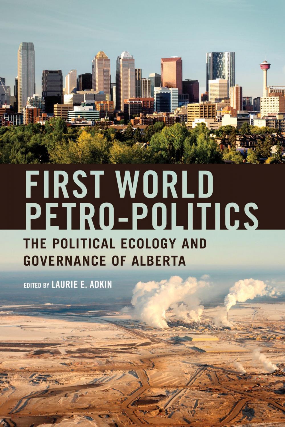 Big bigCover of First World Petro-Politics