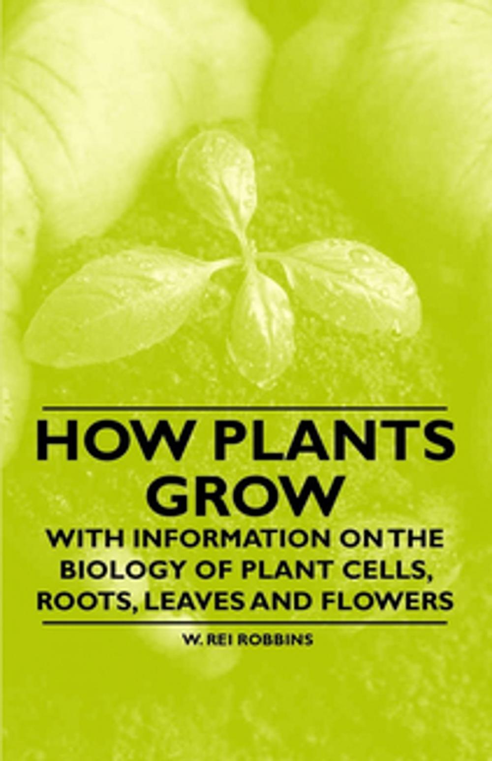 Big bigCover of How Plants Grow - With Information on the Biology of Plant Cells, Roots, Leaves and Flowers