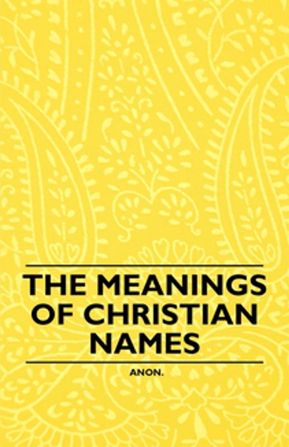 Big bigCover of The Meanings of Christian Names